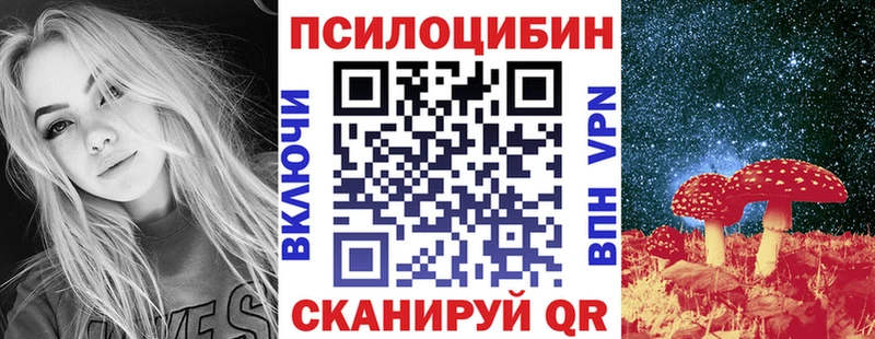 Купить  Кирово-Чепецк  Галлюциногенные грибы мицелий 